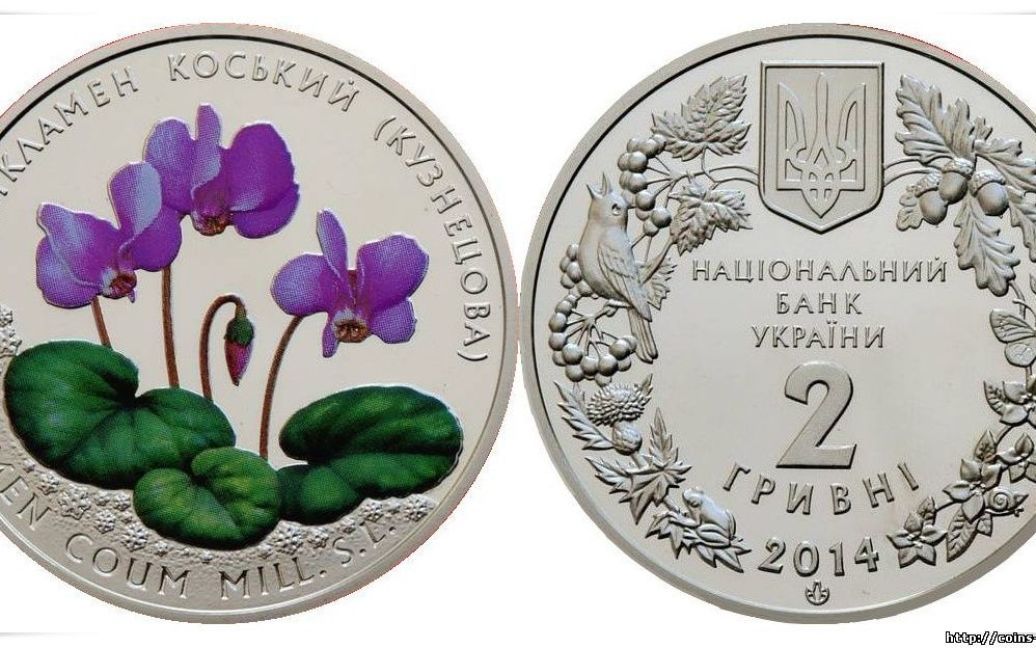 Монета &laquo;Цикламен косский (Кузнецова)&raquo; / © coins-ukraine.at.ua