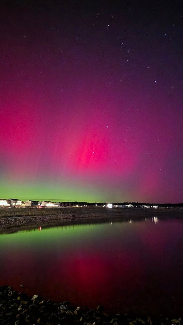 Північне сяйво над Колорадо. Фото: @ Elena Andrushchenko / © Facebook