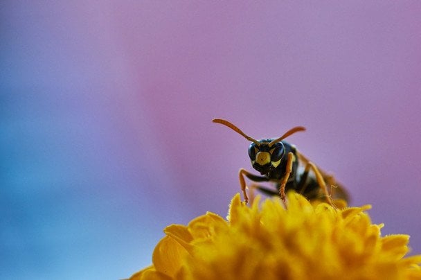 Народні прикмети 16 серпня / © unsplash.com