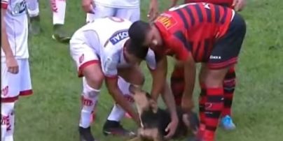 У Бразилії під час футболу собака вибіг на поле та почав бавитися з гравцями