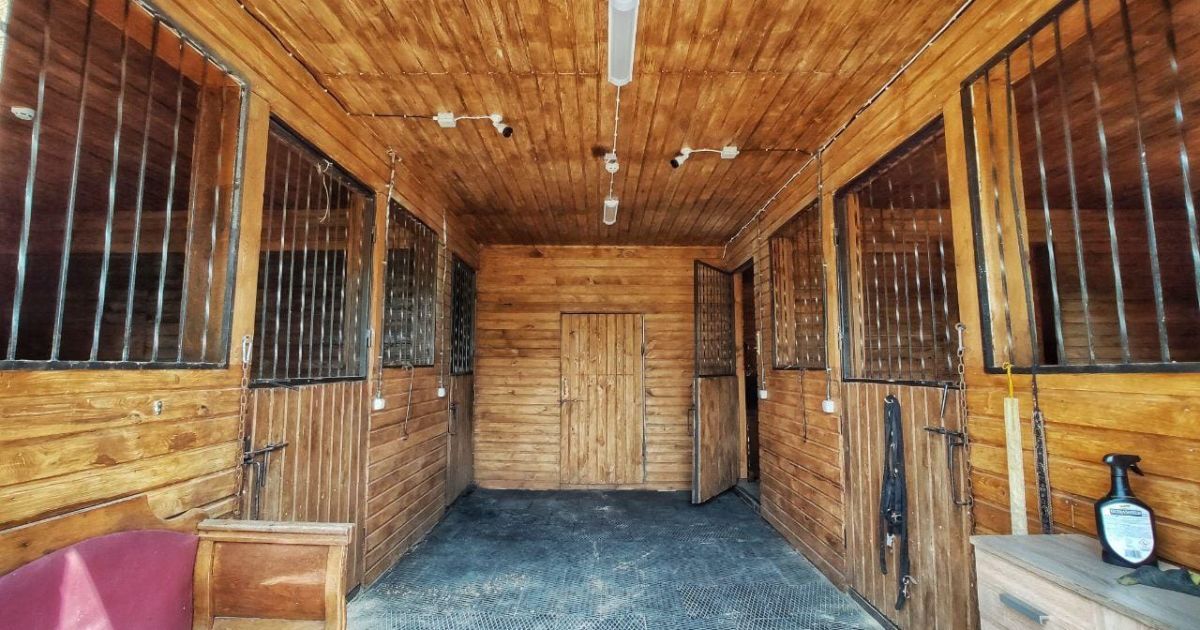 Під Києвом продають замок у готичному стилі з винним погребом, шубною та гардеробною