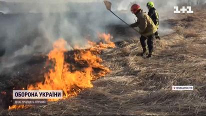 В Україні горять ліси через підпал трави, листя та сміття