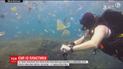 В каждом литре льда северных морей исследователи нашли 12 тысяч микрочастиц пластика