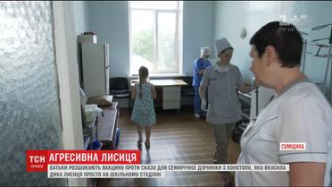 У Конотопі скажена лисиця покусала дівчинку на шкільному стадіоні