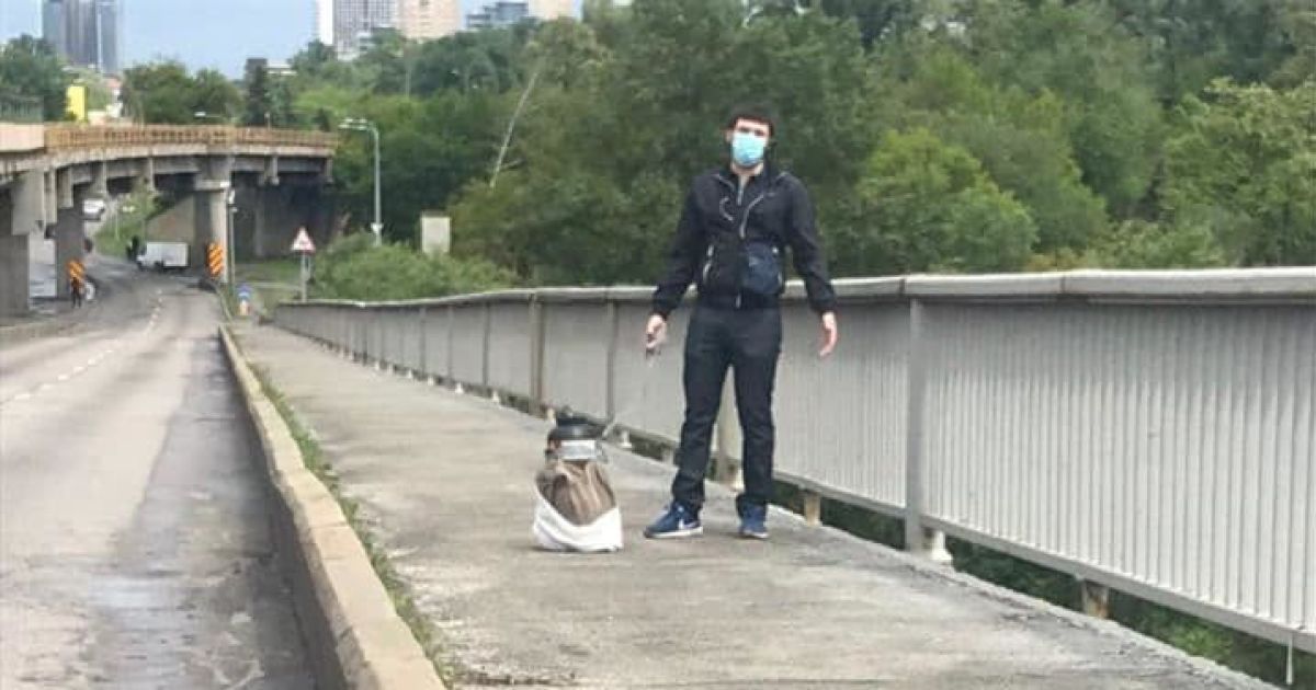 "Мінеру" мосту Метро у Києві оголосили підозру: йому загрожує до 7 років ув'язнення