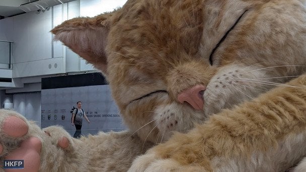 Аеропорт Гонконгу встановив інсталяцію рудого кота. Фото: HKFP﻿