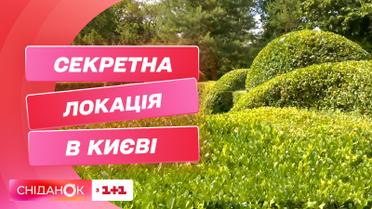 Где искать настоящие джунгли в Киеве: секретная локация