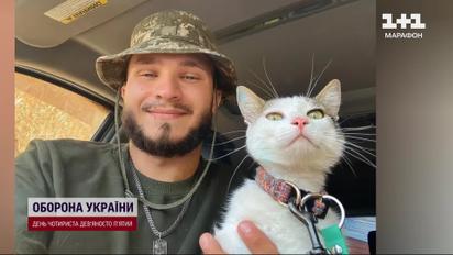 Шайба знайшовся: бойовий кіт став героєм-коханцем