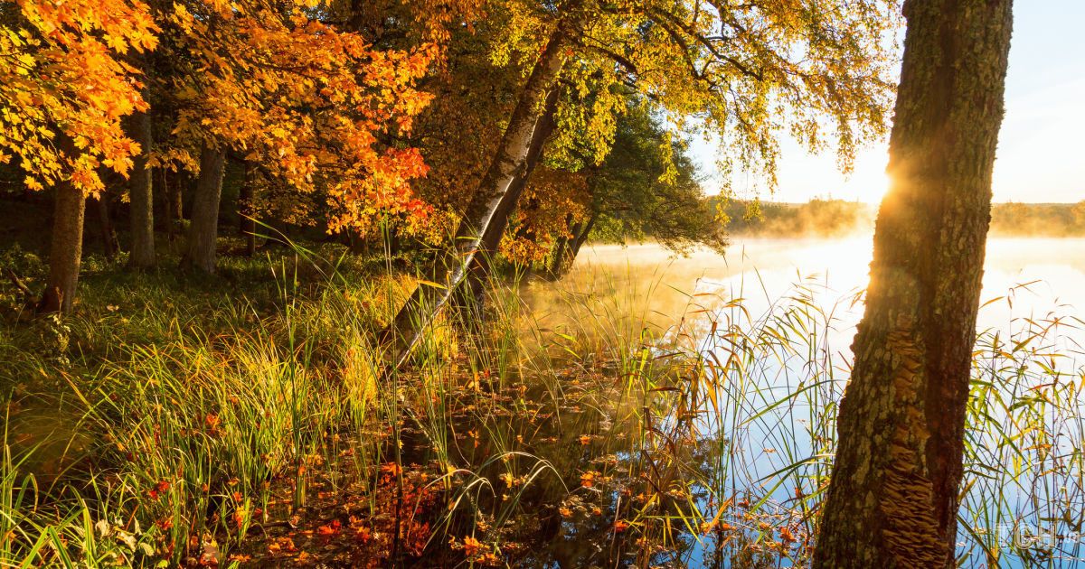 Гороскоп на 18 жовтня для всіх знаків зодіаку