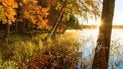Осінній пейзаж