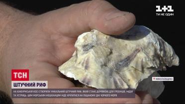 Науковці створили унікальний риф на дні Чорного моря