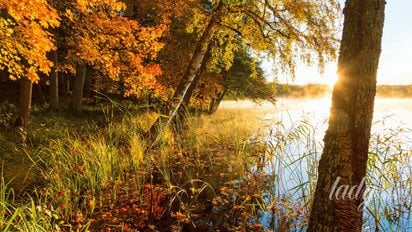 Осінній пейзаж