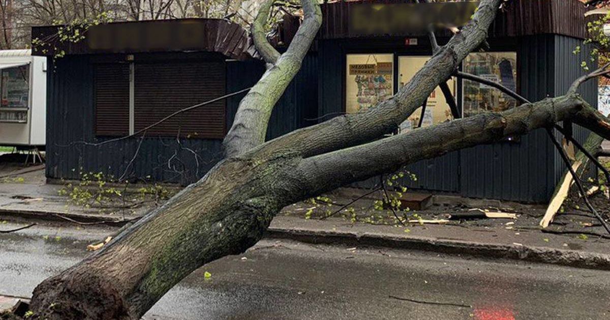 Фото: Telegram-канал "ХД"