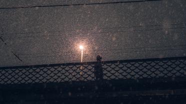 Фото: pexels.com