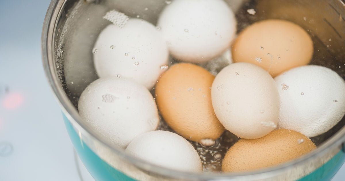 Как правильно варить яйца