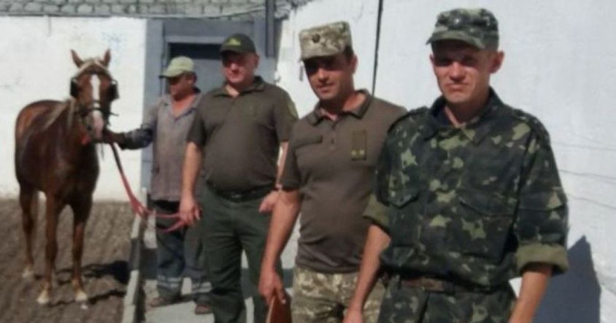 В исправительной колонии в Запорожской области подкопы ищут с помощью лошади