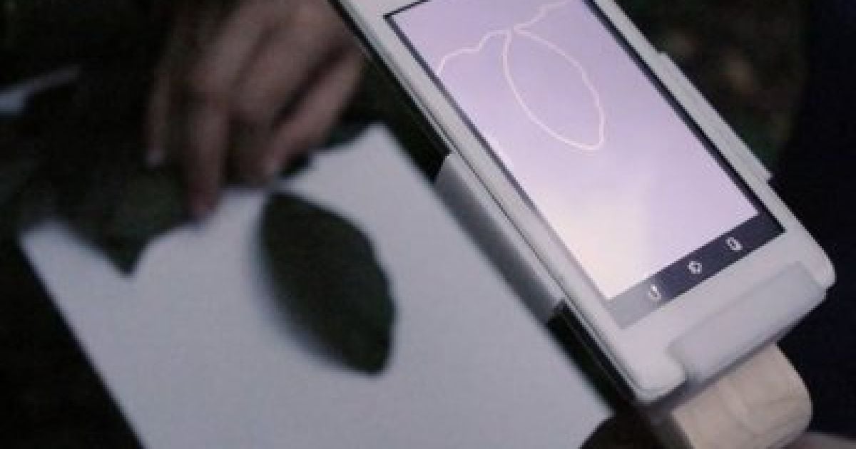 Камера смартфона за считанные секунды измеряет площадь листа