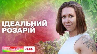 Секреты ухода за розами от Елены Самойлюк