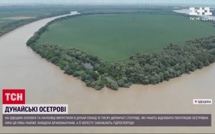 В Одеській області провели унікальне зариблення Дунаю: подробиці