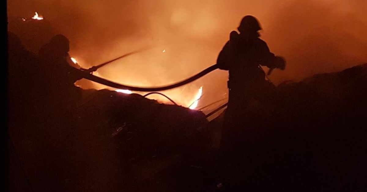 Пожежа у Новій пошті Мукачево 24.08.2018_9 / © Управління ДСНС України у Закарпатській області