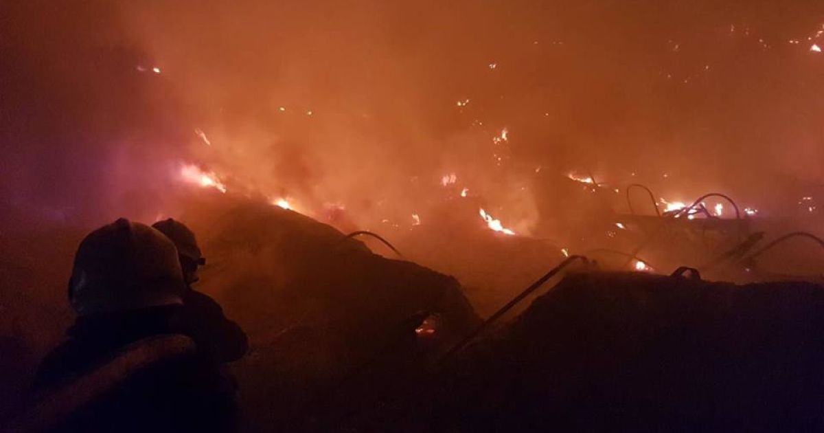 Пожежа у Новій пошті Мукачево 24.08.2018_4 / © Управління ДСНС України у Закарпатській області