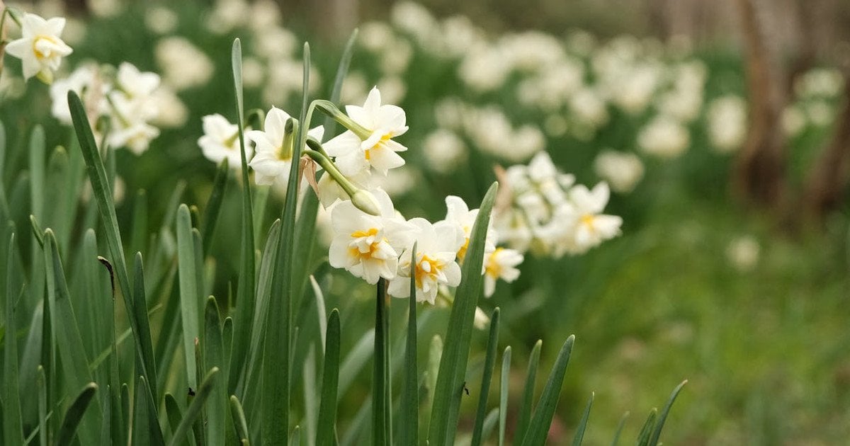Какой сегодня, 28 марта, день ангела
