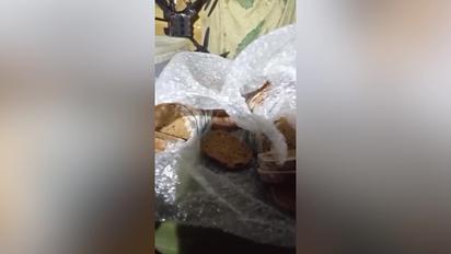 Донька бійця 128-ї бригади заявила про критичний стан підрозділу