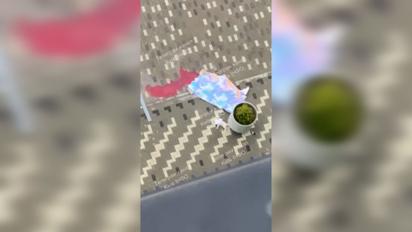 В Киеве мужчина упал с многоэтажки вместе с котом: жуткое видео