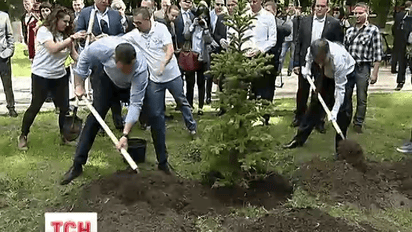 У Маріїнському парку з'явилася  "Алея Ізраїлю"