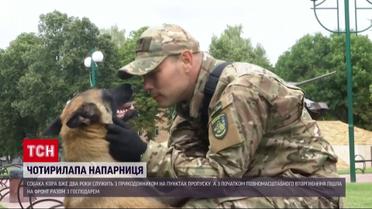 Прикордонник і його помічниця вівчарка повернулися на службу після поранення