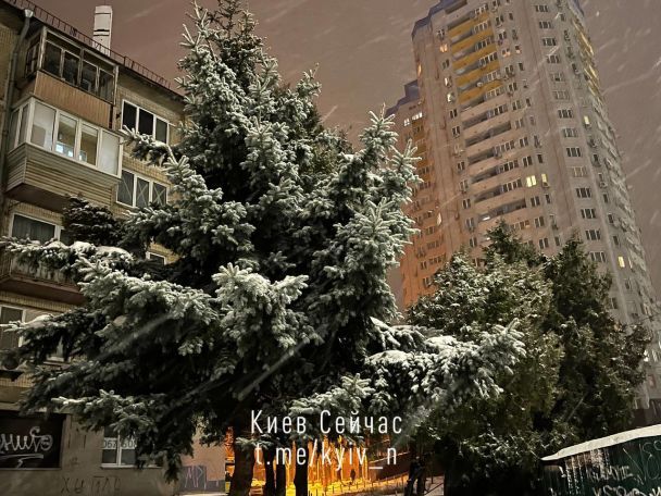 Фото: телеграм-канал "Киев Сейчас: Буча, Ирпень, Гостомель"