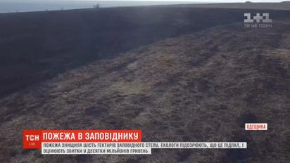 Пожар уничтожил шесть тысяч гектаров заповедной степи в Одесской области