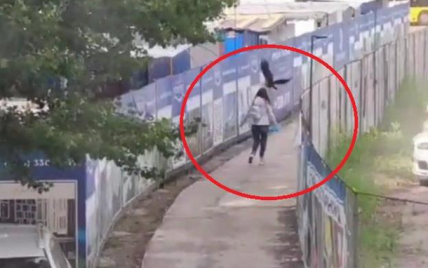 В Киеве ворона атаковала девушку: появилось видео