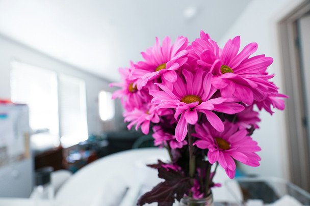 День ангела 1 липня — душевні привітання в прозі / © unsplash.com