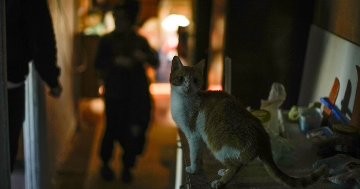 Відключення світла.