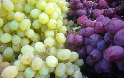 В Україні на місяць раніше з'явився в продажу вітчизняний виноград