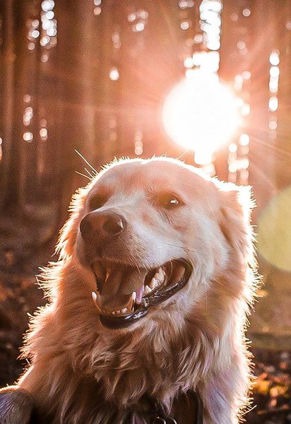 Какая будет погода в Киеве
