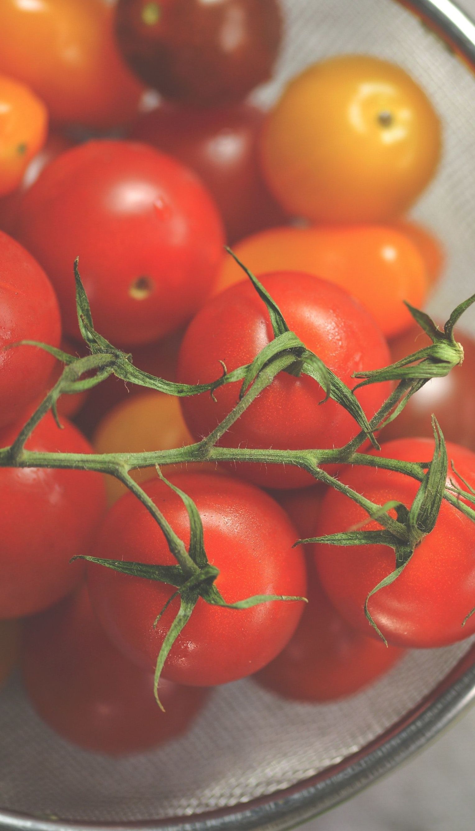 В Україні стрімко дорожчають огірки та дешевшають помідори