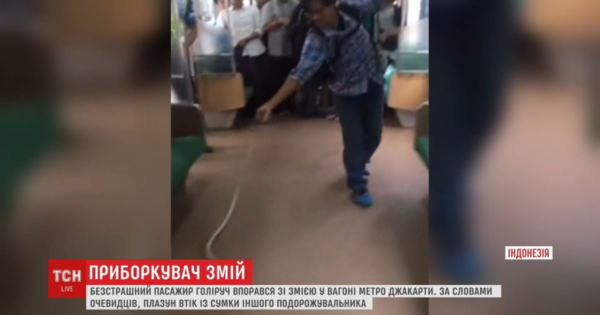 Голыми руками против змеи: в метро столицы Индонезии бесстрашный пассажир спас других от нападения