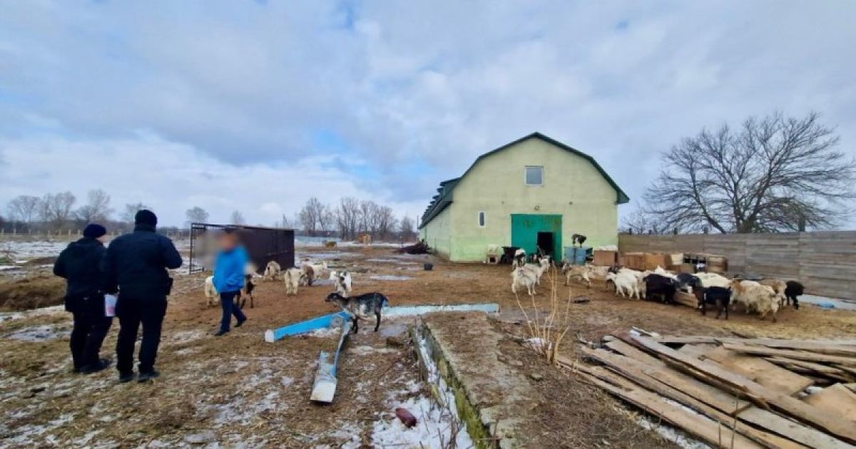 Приют на Киевщине, где издевались над животными / © Полиция Киевской области