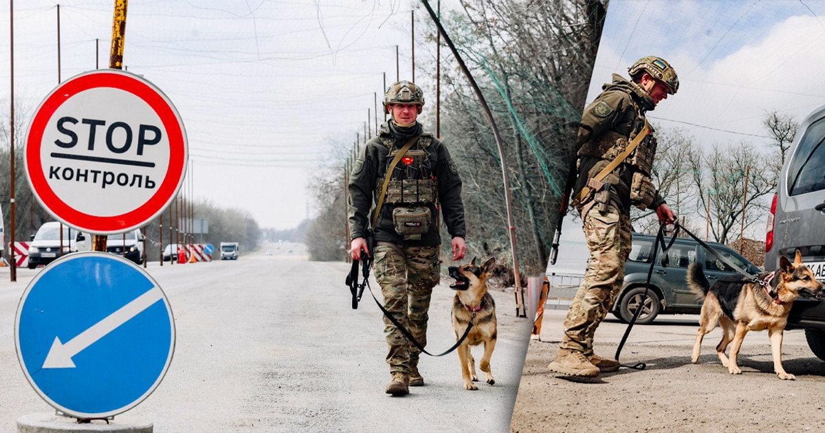 Служба кінологів з собаками