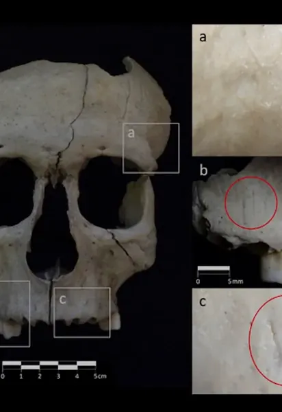 Археологи нашли новые доказательства публичных обезглавлений в железные сутки