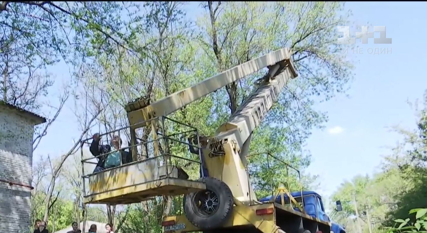 На Днепропетровщине горожане целый день спасали кошку, которая вскарабкалась на 20-метровое дерево