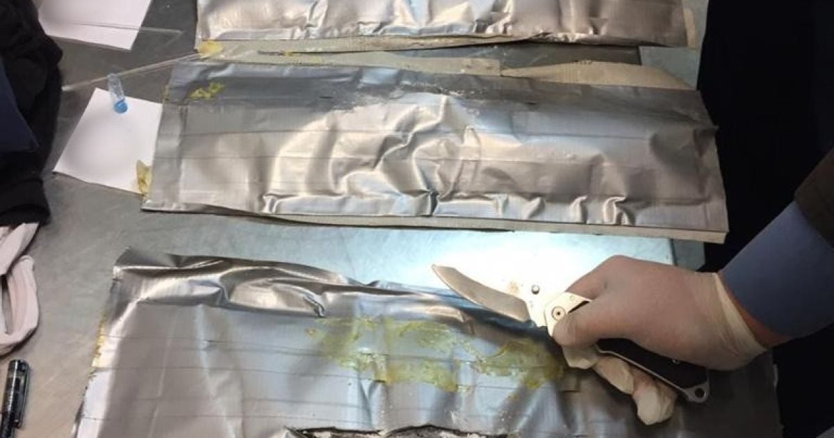 Українські правоохоронці перекрили міжнародний канал постачання кокаїну