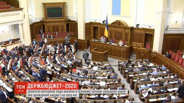 Верховная Рада в первом чтении приняла закон о Госбюджете на 2020 год