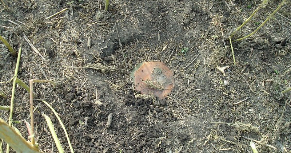 Под Мариуполем разминировали "адское поле" / © Минобороны Украины