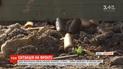 На фронте боевики обстреливали позиции вооруженных сил и дома гражданских