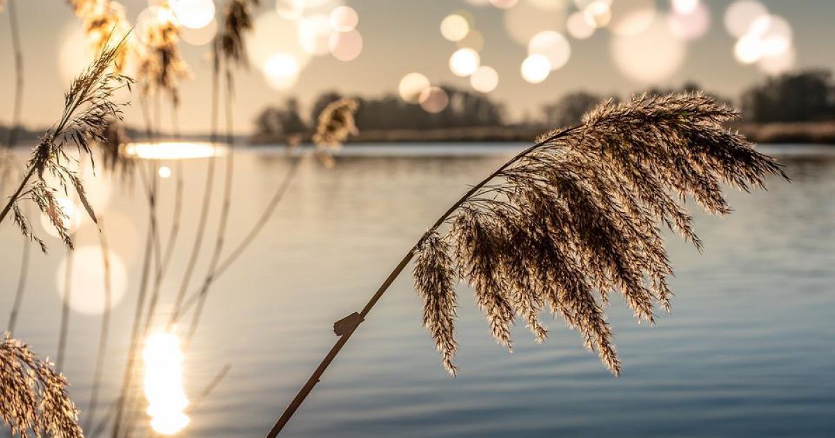 Форсування річок стане одним із найбільш визначальних чинників перебігу війни - британська розвідка
