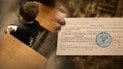 Після мобілізації батька 14-річний підліток опинився у чужій родині