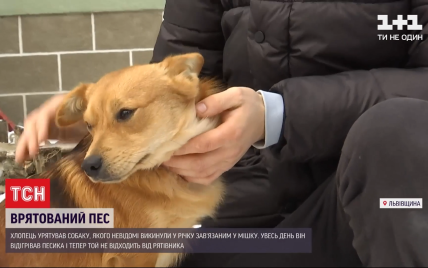 Без сил задыхался в мешке: во Львовской области спасли пса, которого хотели утопить